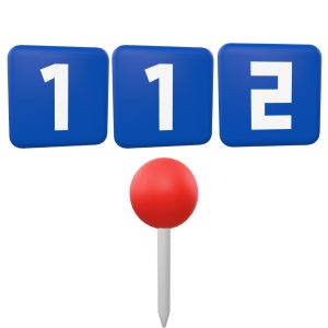 112 pallet estate pin
